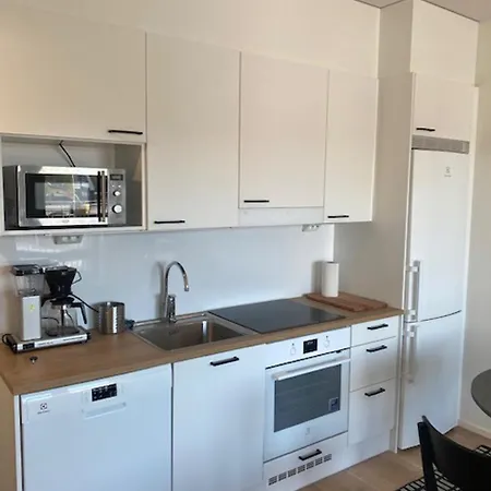 Kaksio Kirstinpuistossa Apartament